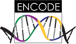 ENCODE