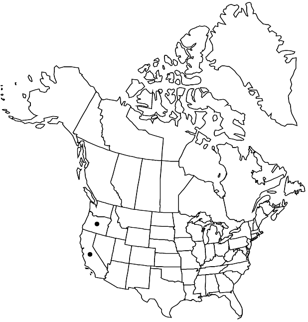 V8 173-distribution-map.gif