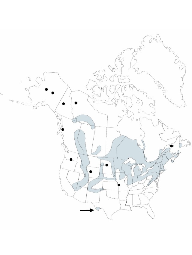 V22 195-distribution-map.jpg