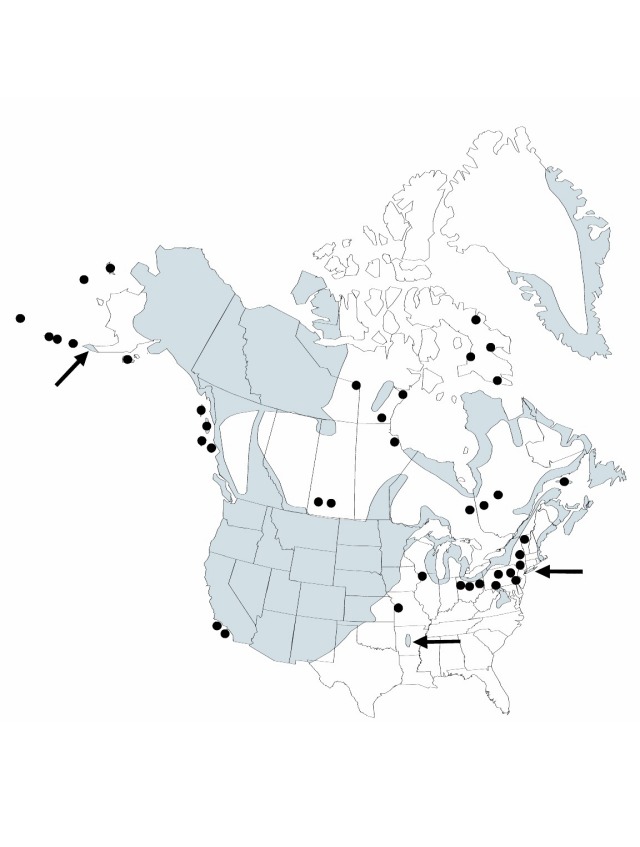 V22 597-distribution-map.jpg