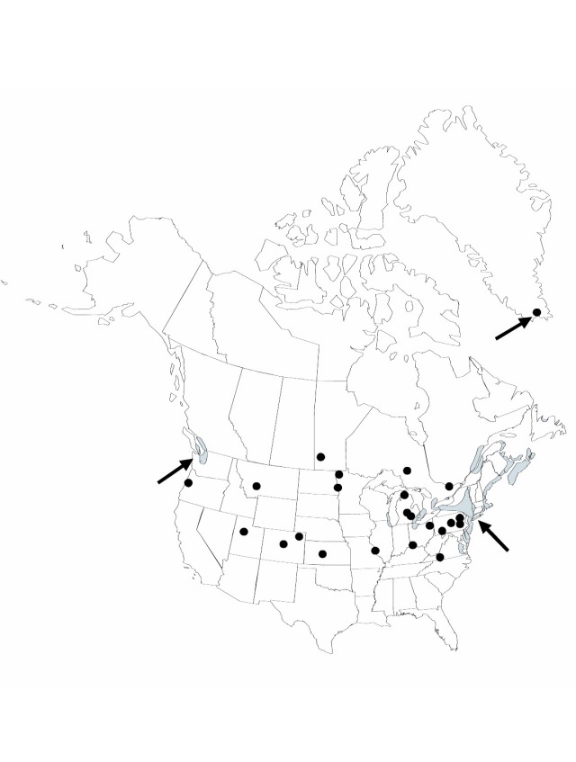 V22 228-distribution-map.jpg