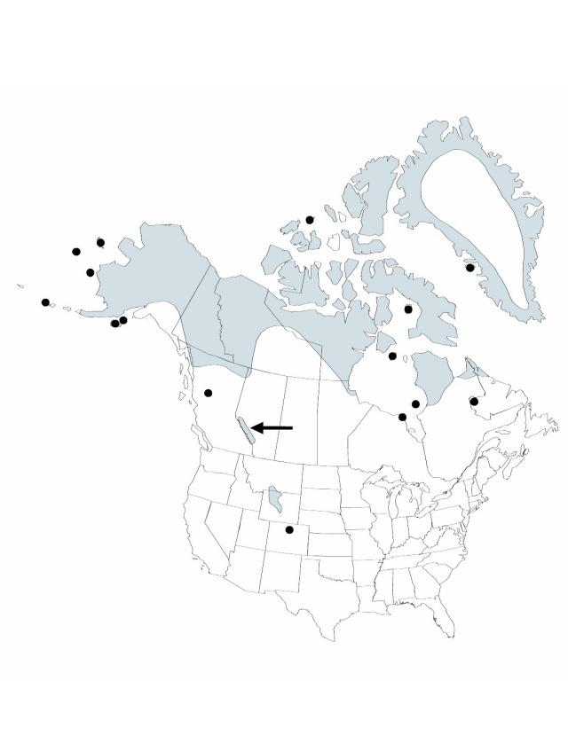 V22 308-distribution-map.jpg