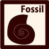 category_fossil