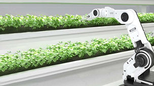 robot observing seedlings in lab