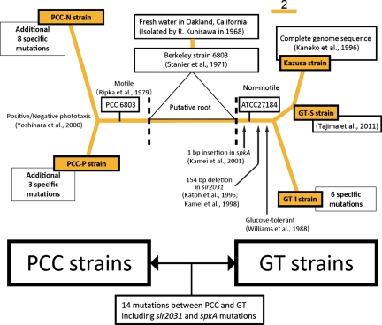 Figure 4.