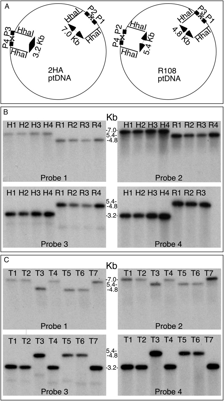 Figure 3.