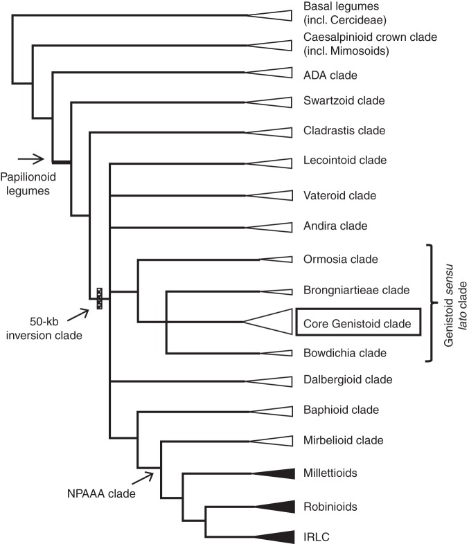 Fig. 1.