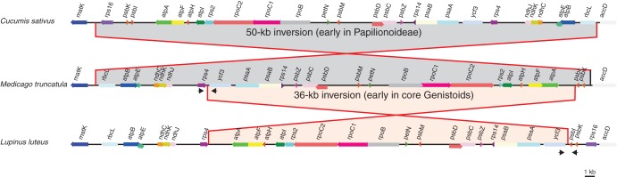 Fig. 3.