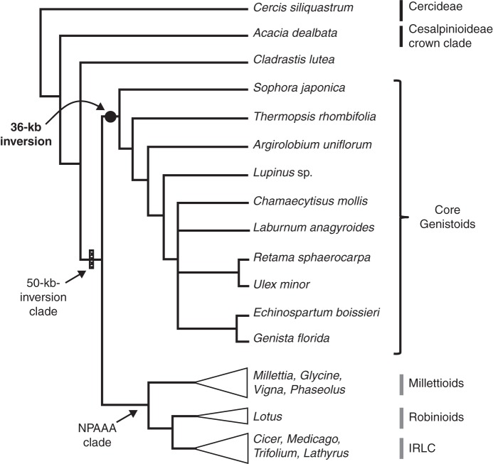 Fig. 4.