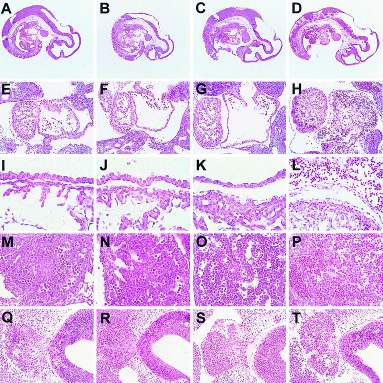 FIG. 5