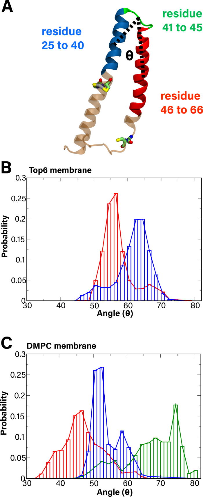 Figure 3: