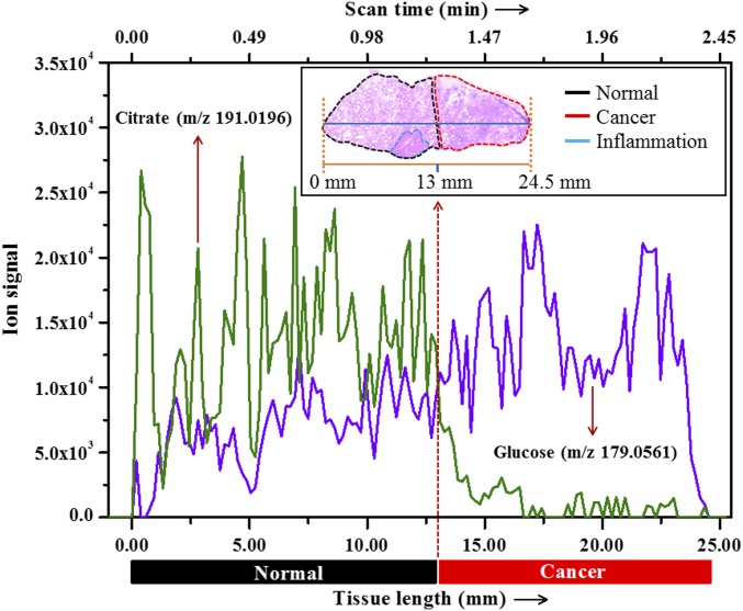 Fig. 4.