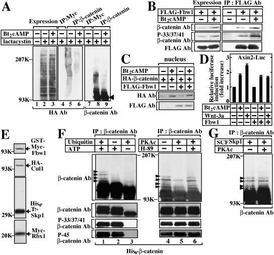 FIG. 6.