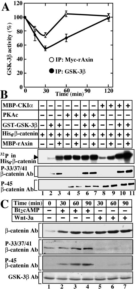 FIG. 5.