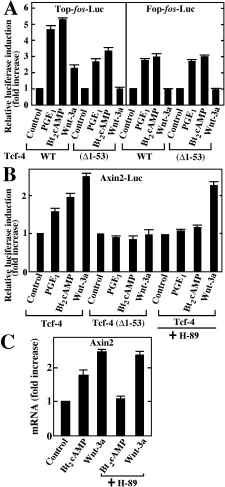 FIG. 2.