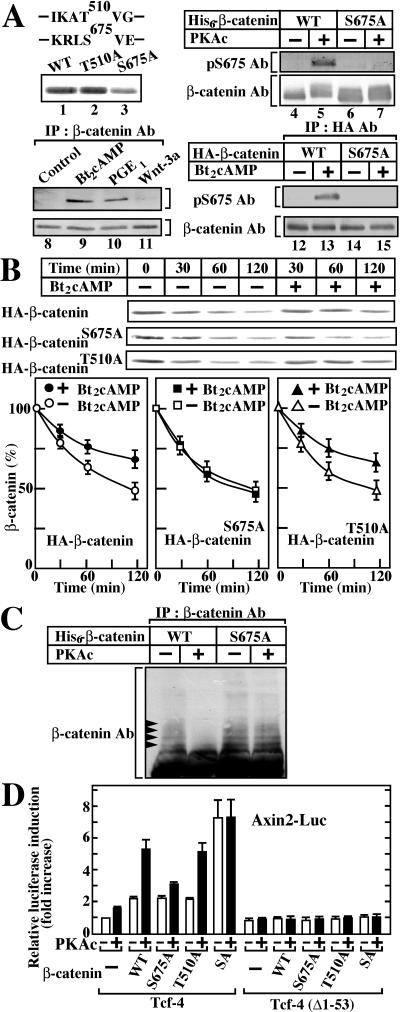 FIG. 7.