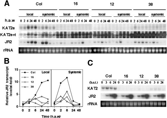 Figure 6.