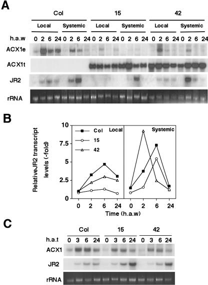 Figure 5.