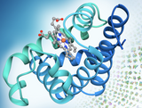 The Nobel Prize in Chemistry 2024