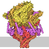 Malaria Parasite PTEX