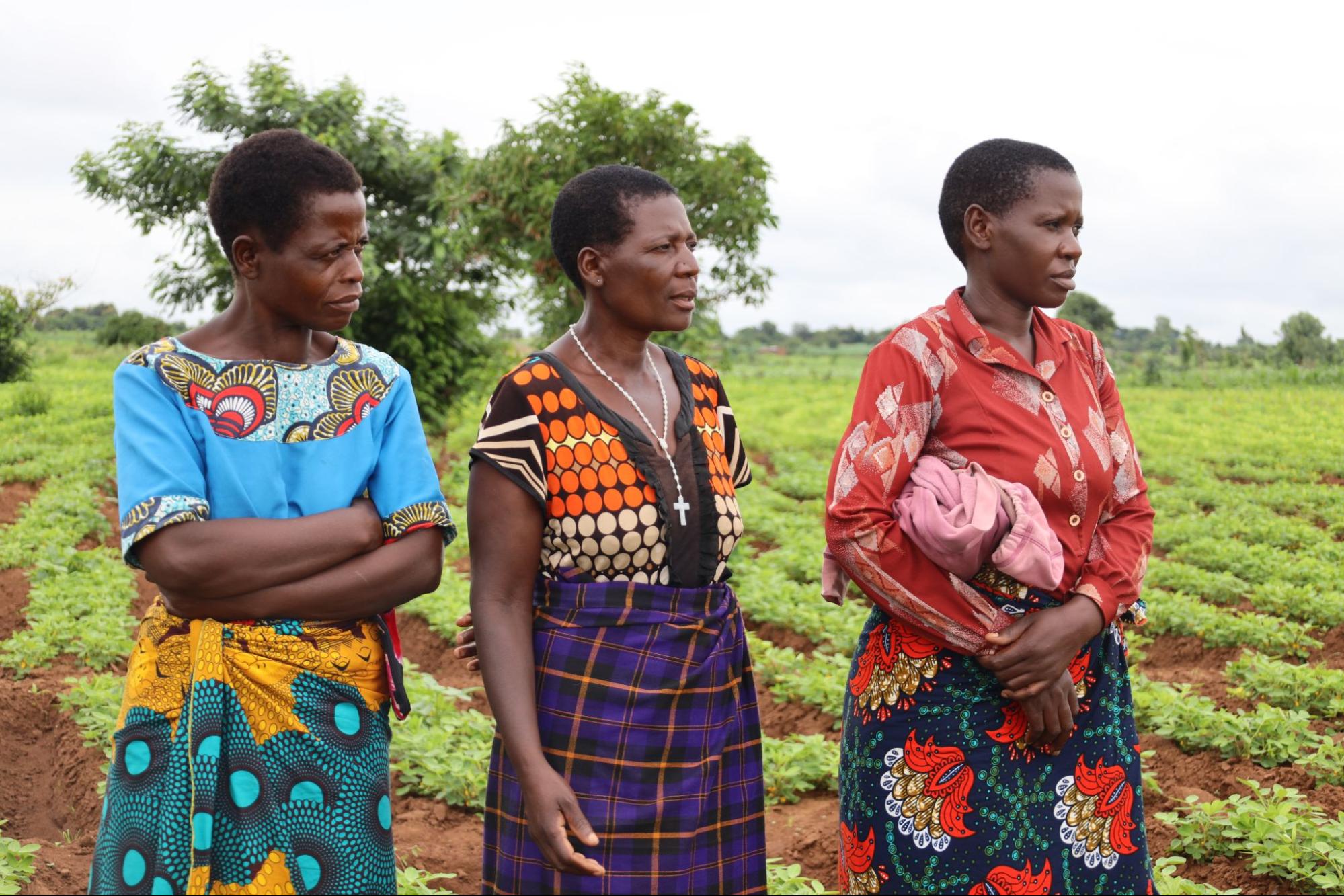 Photo of 3 female groundnut farmers in a field