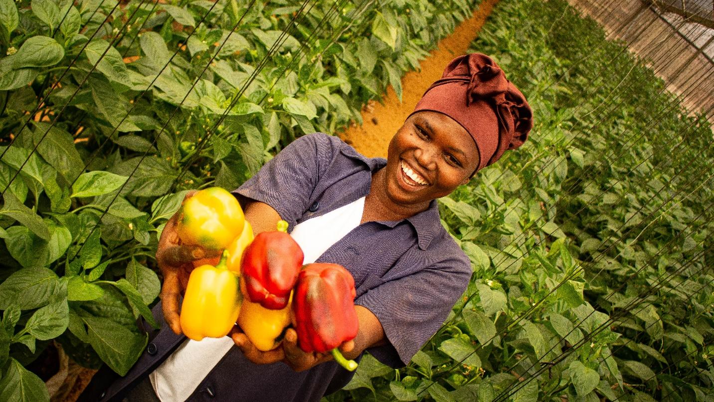 Photo of a woman in a field holding harvested peppers