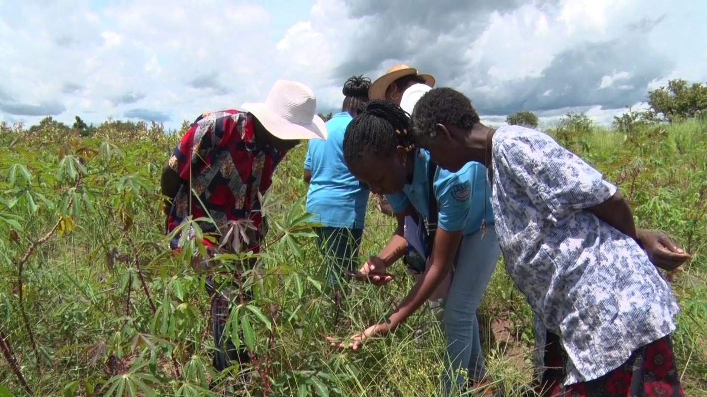 Photo of farmers being trained in a green field