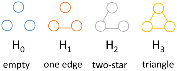 The four isomorphism classes of triad.