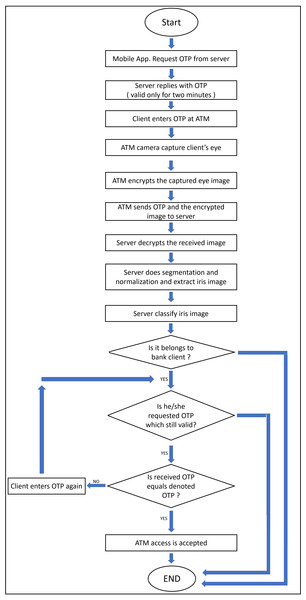 The flowchart of the proposed model.