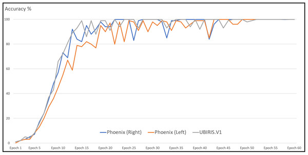 Average accuracy curve for the training of datasets.