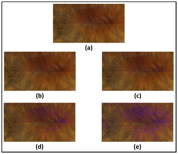 Results of adding uniform noise within different intervals.