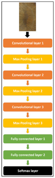 The proposed CNN model structure for all datasets.