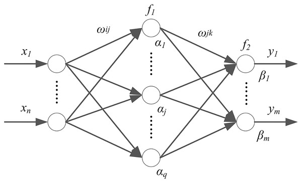 BP neural network structure.