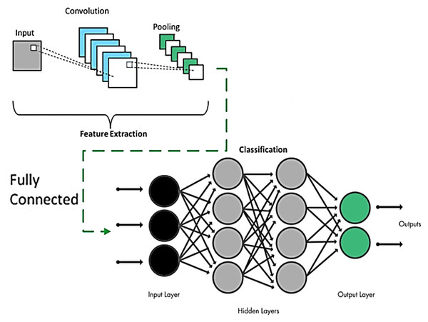 CNN model overview.