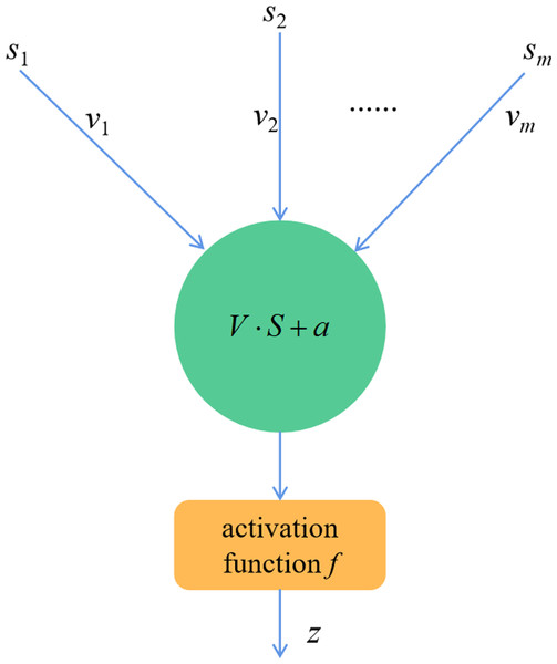 Neuronal structure.