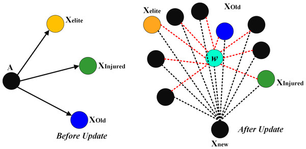 The impact of w on the other factors.