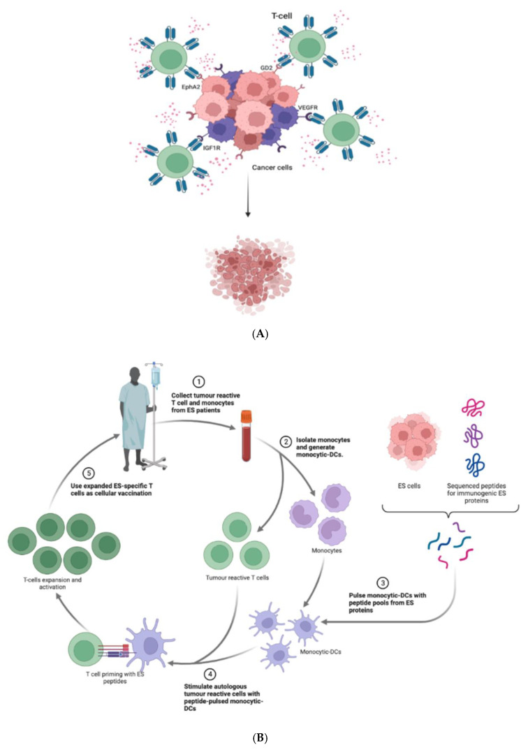 An external file that holds a picture, illustration, etc.
Object name is biomedicines-11-00874-g004.jpg