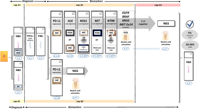 An external file that holds a picture, illustration, etc.
Object name is 12094_2022_3046_Fig2_HTML.jpg