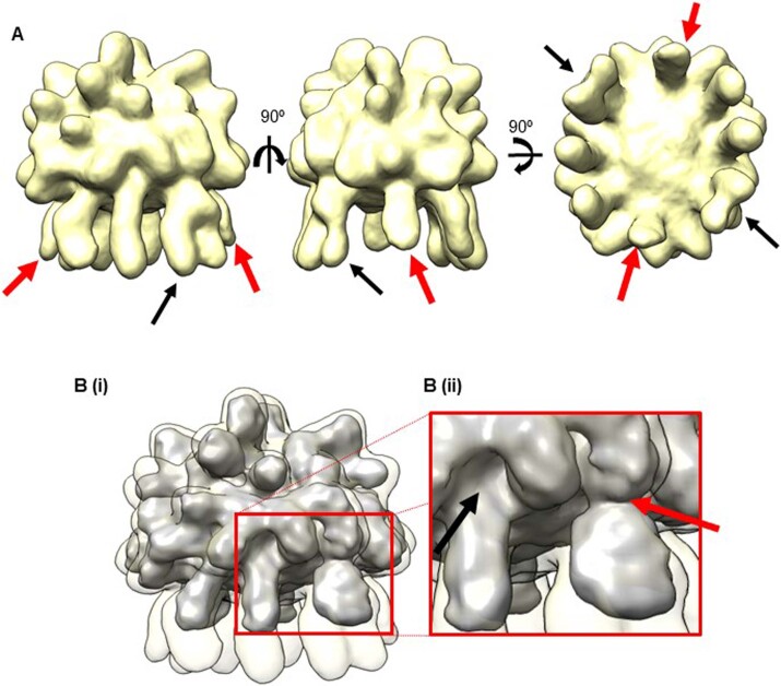 An external file that holds a picture, illustration, etc.
Object name is 41594_2023_950_Fig10_ESM.jpg