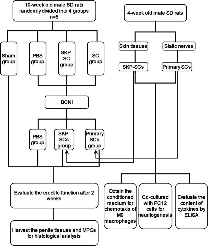 An external file that holds a picture, illustration, etc.
Object name is 12610_2023_187_Fig1_HTML.jpg