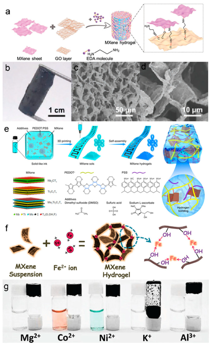 An external file that holds a picture, illustration, etc.
Object name is biosensors-13-00495-g003.jpg