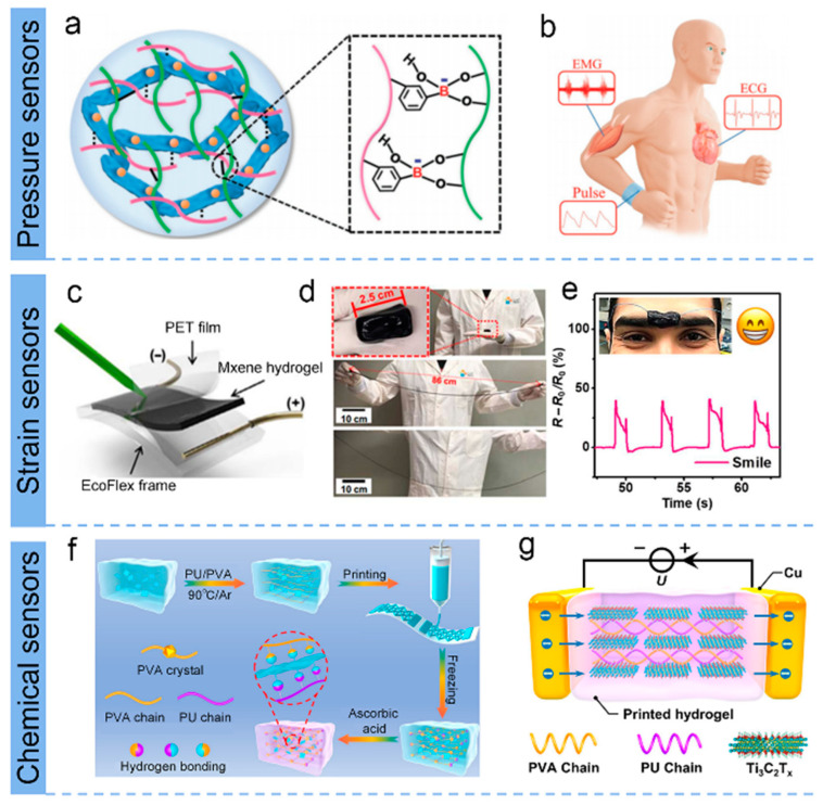 An external file that holds a picture, illustration, etc.
Object name is biosensors-13-00495-g004.jpg