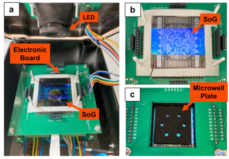 An external file that holds a picture, illustration, etc.
Object name is biosensors-13-00544-g002.jpg