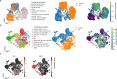 Extended Data Fig. 9