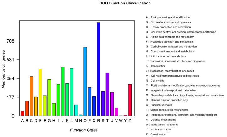 An external file that holds a picture, illustration, etc.
Object name is genes-14-01440-g001.jpg