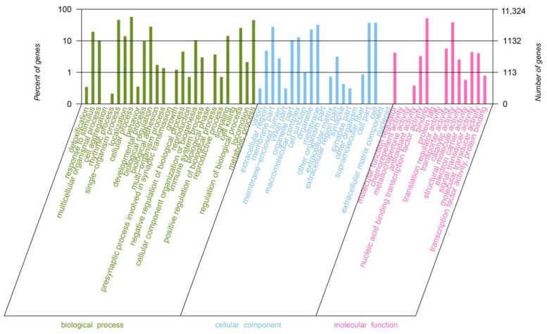 An external file that holds a picture, illustration, etc.
Object name is genes-14-01440-g002.jpg