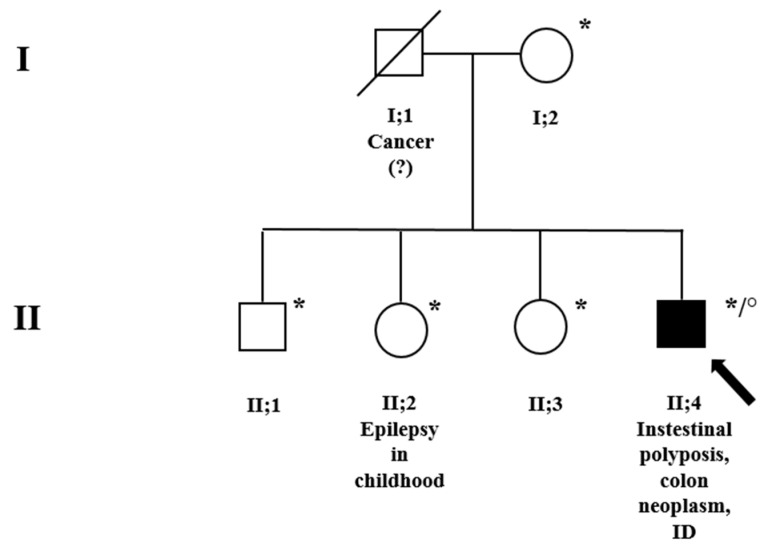 An external file that holds a picture, illustration, etc.
Object name is genes-14-01505-g001.jpg