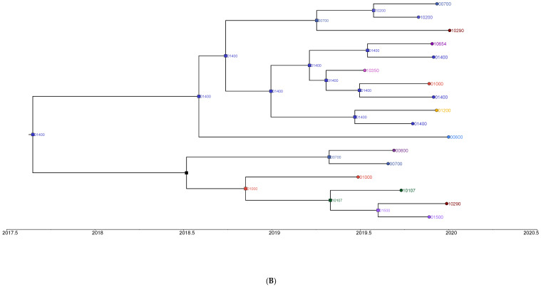 An external file that holds a picture, illustration, etc.
Object name is viruses-15-01408-g005b.jpg