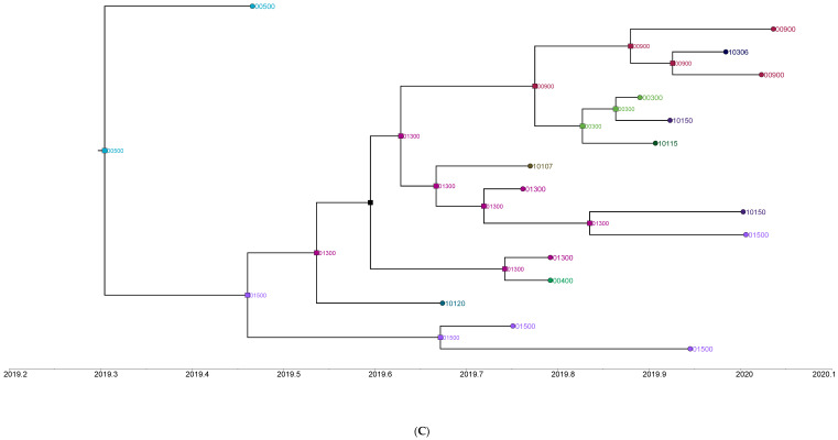 An external file that holds a picture, illustration, etc.
Object name is viruses-15-01408-g005c.jpg