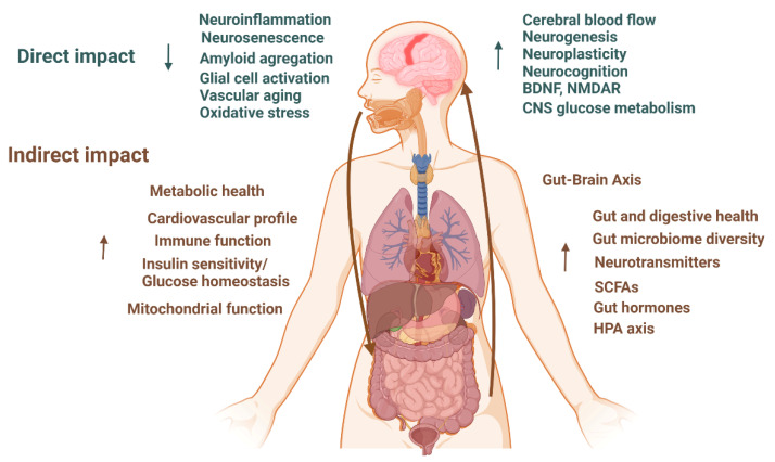 An external file that holds a picture, illustration, etc.
Object name is nutrients-15-03204-g002.jpg